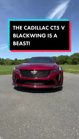 I'd pick the Cadillac! #sportscar #cadillac #carlover #cartok #tiktokcars #carsoftiktok #cars #cartiktok #foryoupage