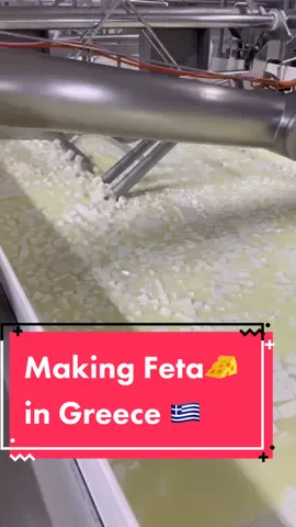 Visited a few Feta 🧀 producers in Greece 🇬🇷 last week and thought I’d share some behind-the-scenes 😘#feta #greece #nyccheesechick #cheese #cheesetok #cheesemaking  #greekfood #fansofformaggio #greecetok #cheeselover #greekcheese #foodtravel