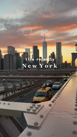Nyc in summer >> #nyclife #nycliving #newyorkcheck