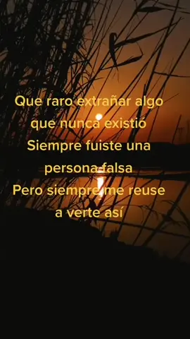 #paralaprincesa😘😘😘 #fraces #fypシ #desamor💔triste #fypシ゚viral🖤tiktok #desamorsad💔😔deprecion😔🥺😥💔💔 #amorpropio #fracessad💔 #viral #nostalgia