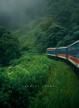 බදුලු කෝච්චියයි, වැස්සයි 😍❤️ #badullatrain #hillcountry #train #srilankan🇱🇰 #trainride #ella #badulla #srilankantrain