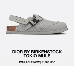 1100 bucks for clogs and a Hidden.ny repost might be worth 😜#dior #alyx #brickenstock #fashiontiktok #streetwear #fashionfinds #fyp #foryoupage #fashiontiktok #hiddenny #archive