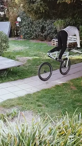 free tire rotation services 🛞