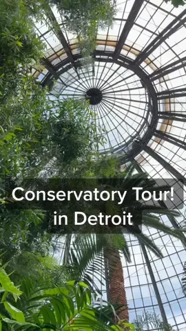 Check out my visit to the Anna Scripps Whitcomb Conservatory in Detroit 🤓😎 #planttiktok #PlantTok #plantsoftiktok #LearnOnTikTok #tour #planttour #walkthrough #garden #gardentok #gardentour #detroit #belleisle #glasshouse