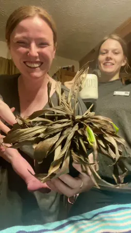 Planttok plz send help #plantsoftiktok