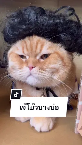 เจ๊โบ๊วบางบ่อมาแล้วจ้าา #สวนสัตว์tiktok #ถ้าสัตว์เลี้ยงพูดได้ #เคล็ดลับสัตว์เลี้ยง #โบ๊วยี่ห้อสก็อตติช #บัมเบิ้ลยี่ห้อบริติช