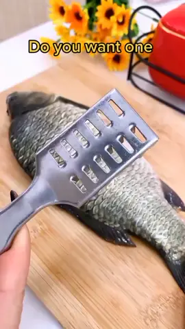 A tool to scale fish.#foryou #scale #fish #goodstaff #kitchenware