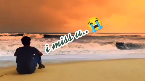 Miss u.😭#foryou #foryoupage #tiktokbdofficial #unfrezzmyaccount🙏