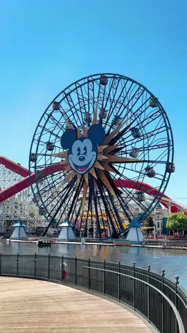 A ferriswheel with swinging carts 🎡 It even has puke bags in each cabin 😂👌 #disneyland #anaheim #california #themepark #ferriswheel #disney #mickeymouse #dca #attraction