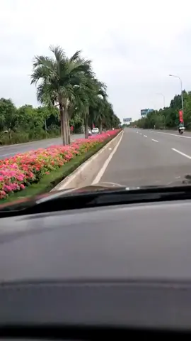 quá cô đơn 😞