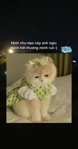 Ai rui cũng khác :))) #xuhuong #xh #foryou #fyp #xuhuongtiktok #nhac #chuyendoita