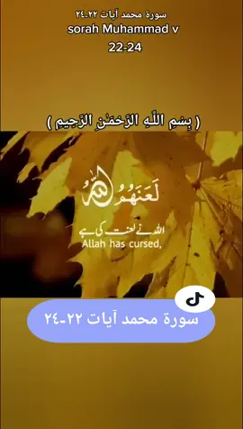 سورة محمد آيات آيات ٢٢-٢٤🤍❤💯 #voice_of_quran01 #holyquran #quran #islam #allah #foryoupage #original #viral