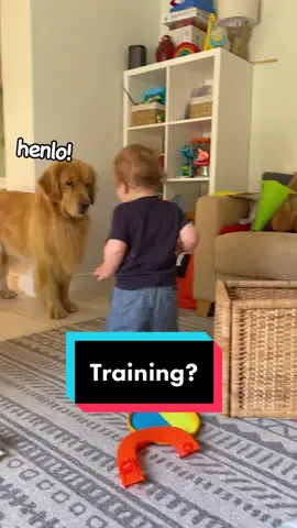 Tiny gary needs more training👀🐶 #dogstory