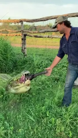 When your hanging out with your friend and he blows your mind 😱😱😱😱 #livingthedream #mattwright #crocodile #australia #animals #wow @Matt Wright