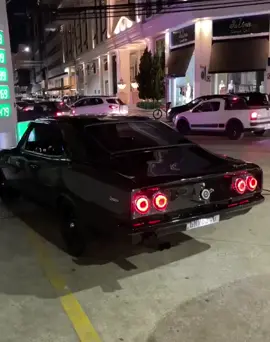 #opala #opalaterapia #opalao6caneco #opalasoocano