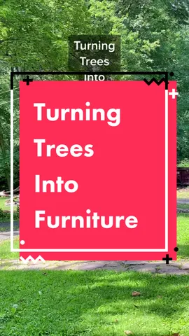 Growing furniture > buying furniture #holzfforma @Holzfforma #theforgehouse #ouroldhouse #furniture #chainsaw #chainsawmill #woodworking #kiln #woodwork #wood #arborist #tree #treeservice #treework #sustainable #reuse #DIY #project #carpenter