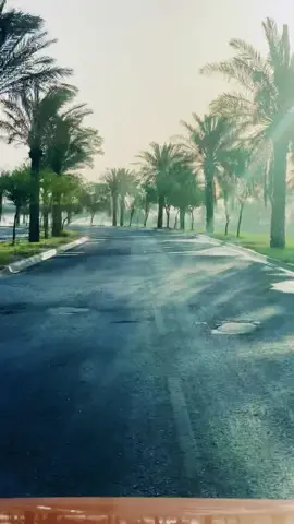 التجارة الحقيقية هي التجارة مع الله بالباقيات الصالحات و حسن الظن به سبحانه، الاهم أحسن ختامنا 🤲  #alhassan_neurosurgery #allah #الله #fyp #طارق_حامد #ترند #trend #tiktok #تيك_توك #اكسبلور #explore #لايك #like