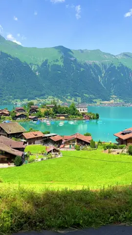 📍Iseltwald🇨🇭#swissroads #switzerland #switzerlandnature #roadtrip #iseltwald #berneroberland #verliebtindieschweiz #swissbeautiful #sisiswiss