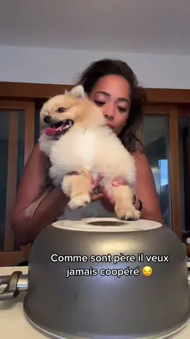 Lui aussi il et marocain 🐕 🇲🇦 #fyp #mylove