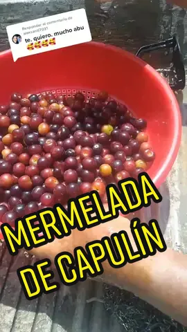 Responder a @alexsanti7031 te mando un fuerte abrazo hija ☺️☺️#cocinandoconlauren #misqueridosnietos #capulin #mermelada #mermeladadecapulin #amanecerbonito #capulines #mimexico #paisanos🇲🇽