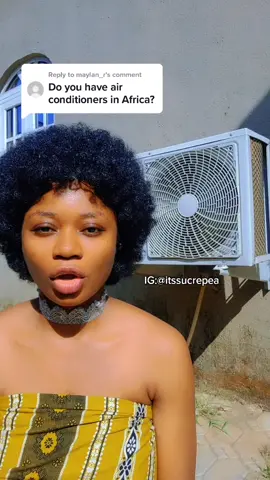 Reply to @maylan_r The African Elephant is not just an animal but a source of fresh air. btw what's an Air conditioner?🤔 #sacarsm #africa #charityekezie
