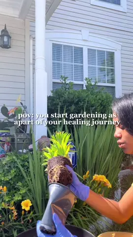 💐🌻🌷🦜 #HealingJourney