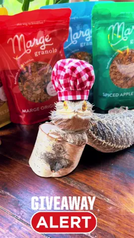 Yo yo yo! Head over to our Instagram to enter to win a bundle of Marge Granola! #fancyrestaurant #michelinstar #gastronmia #gastronmie #fyp #foryoupage  #Foodie #fypシ #fypage #foryou #giveaway