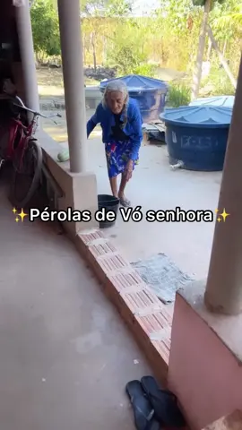 A vó de vocês também é mansa assim? Kkkkkkk #humor #meme #fypシ #vosenhora #rbreall