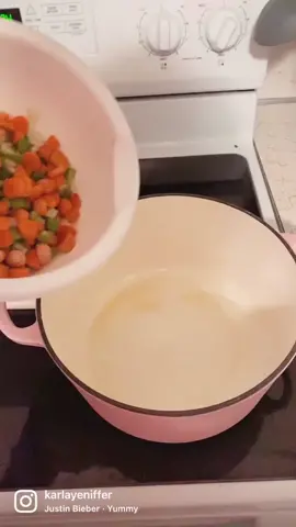 Chicken noodle soup ✨ #chickennoddlesoup #dinnerrecipe #DinnerIdeas #dutchoven #justinbieber #tuesdaynightdinner #instagramer #kyrecipe #pinklover