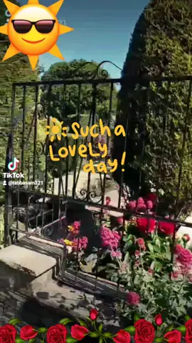 #yegarmeragulshanha#یہ_گھر_میرا_گُلشن_ہے💞 #fupage #beautifulweather #uk #fypシ゚viral #fypシ゚viral🖤 #tabbasam321