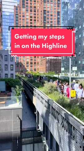 Great day for a walk #nyc #highline #park #publicpark #exercise #manhattan #newyorkcity