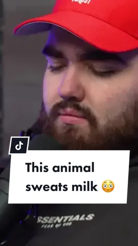 This animal sweats milk… 😳 #WhatsGood #FunnyFacts #DidYouKnow