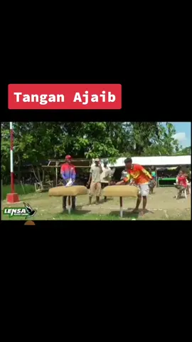 Aksi kocak joki satu ini,geber merpati tanpa betinanya..🤣#merpatikolongnusantara #merpatilovers #merpatikolongindonesia #hobimerpati🕊️🕊️ #jokimerpatikolong