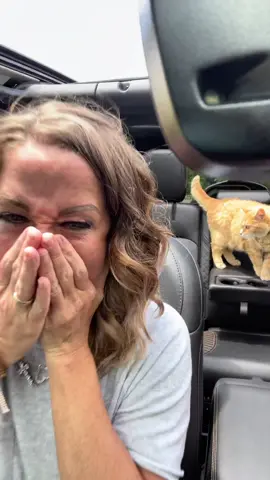 This went a completely different direction then I expected 😂#Vlog #cat #catsoftiktok