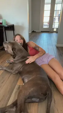 The theme song to our life 🫶🏼 #dog #dogsoftiktok