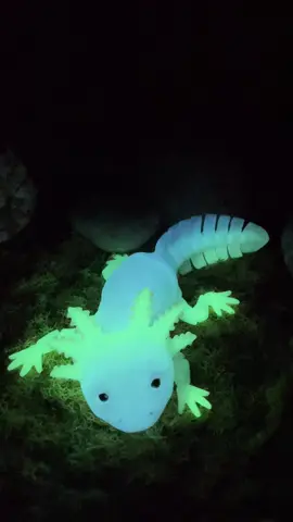 Did you know there are real Axolotls that glow under a blacklight?  This one glows when the lights go off!     Axolotl Model available for downlaod on @cults3d  #3dprinting #fyp #glowinthedark #axolotl #axolotlsoftiktok