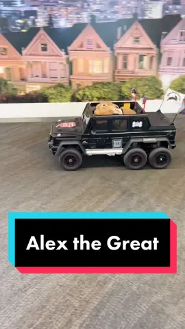 Alex the Great driving by in his AMG and stunning passengers with his class 🤌 #mercedes #sanfrancisco #sfo #airport #sfoairport #wagbrigade #rabbit #alexthegreat #fyp #bunny #MakeASplash #corgi #cat #dog #topgunmode