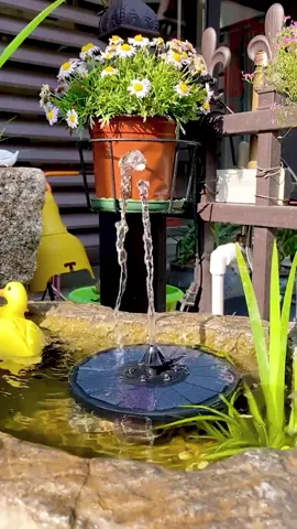 Solar fountain in my home page link to buy can enjoy half price discount.#solarfountain #amazon #water  #solar #fountains #amazonfinds #birdbath #aisitin #fyp #goodthing