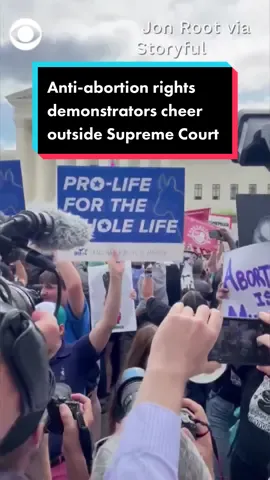 Anti-abortion rights demonstrators cheer outside the Supreme Court following the ruling that overturned Roe v Wade and the 1973 decision that legalized abortion nationwide.