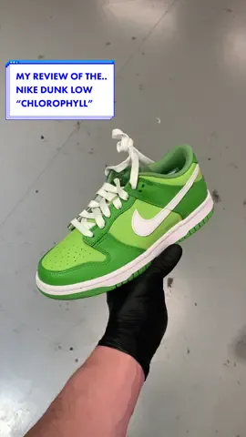 MY REVIEW OF THE NIKE DUNK LOW CHLOROPHYLL (GS) #fyp #foryou #nikedunk #nikedunklow #sneakers #sneaker #review #sneakerheads #collections #collection #fashion #detailing #fashiontiktok #nike