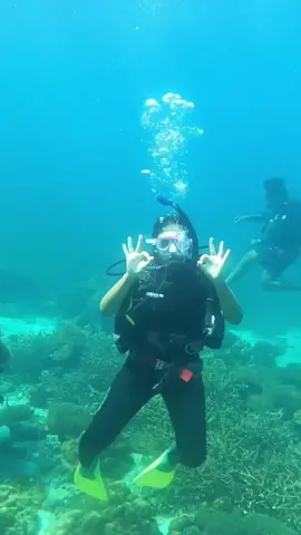 Jom terokai Marine Park, Pulau Payar #PulauPayar#langkawipermatakedah💞 #scubadiving #divingtime🐢🐟🐬🐳 #fypシ゚viral #fypdongggggggg #fypage #foryou #fypシ゚viral #fyppppppppppppppppppppppp #fypdong #esekeli #scubalangkawi #pulaupayar #pulaulangkawi #langkawi #pantaichenang #paditv