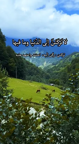 قصيدة للامام علي رضي الله عنه بصوت الشيخ مبروك زيد الخير #قصيده #الامام_علي #مبروك_زيد_الخير