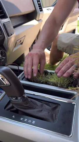 #grasscar