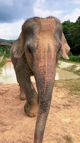 summer in thailand >>>