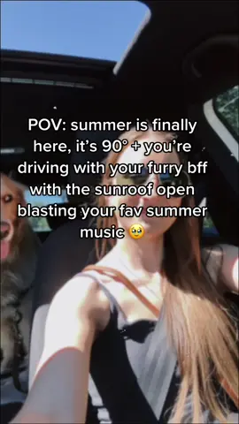 summer girl 🌞🫶🏻🥹 #summergirl #summer22 #sunroof #summerdrive #goldenretriever #pov #fyp #summervibes #thatgirl #thatgirlaesthetic