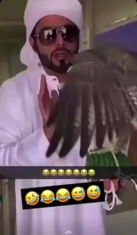 #كراوين #اكسبلورexplore #ام_القيوين #اكسبلور؟ #شاهين #حر #كروان #وحش #خالد_بن_سيفان