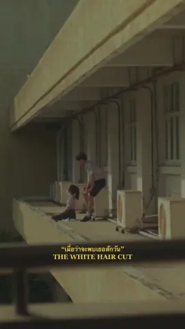 อยากจะพบเธออีกครั้ง.  #เผื่อว่าจะพบเธอสักวัน #Thewhitehaircut #tiktokเพลย์ลิส🌥📮🪄
