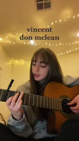 vincent 🎨 #acousticguitar #cover #fingerstyle #singing #vincentvangogh #vangogh #vincent #donmclean #starrynight #starrynightvangogh #guitar #fyp #foryoupage