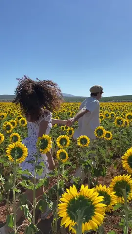 🌻La señal de que empieza el verano en España🌻😍🇪🇸 #sunflower #sunflowerfield #spain #travel #couple
