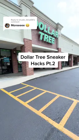 Reply to @shuaib_fahad06 Gotta Love Dollar Tree 🔥 #sneakerheads #sneakerheadsbelike #sneakernews #sneakerhacks #dollartreehacks #fyp #viral #sneakershopping #sneakertok